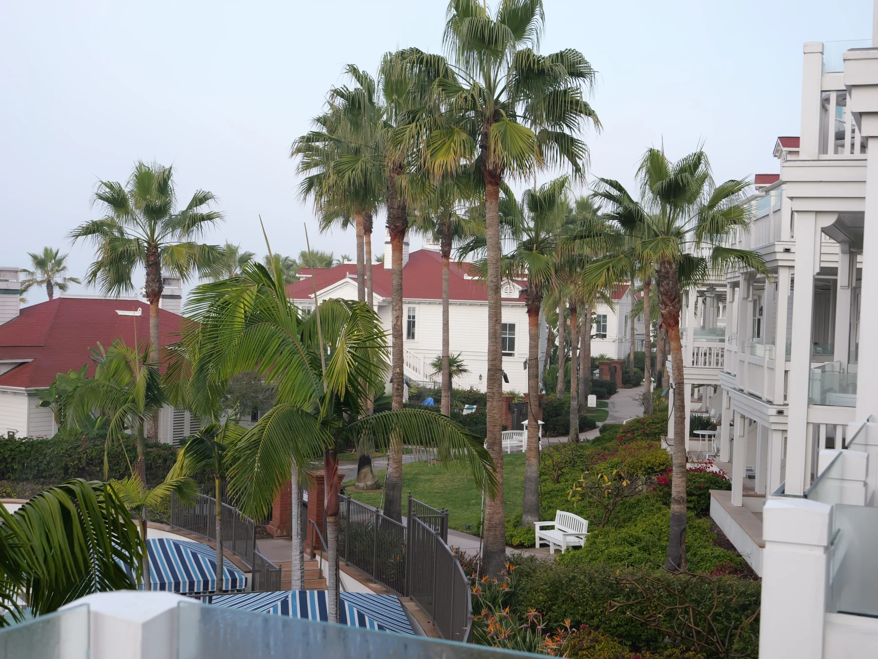 Photo of coastal houses with palm trees and salty air.